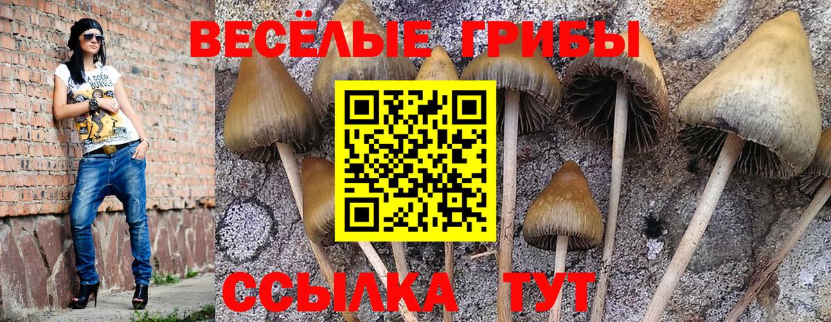 Псилоцибиновые грибы Cubensis  Вход с VPN  Галлюциногенные грибы MAGIC MUSHROOMS  Домодедово 